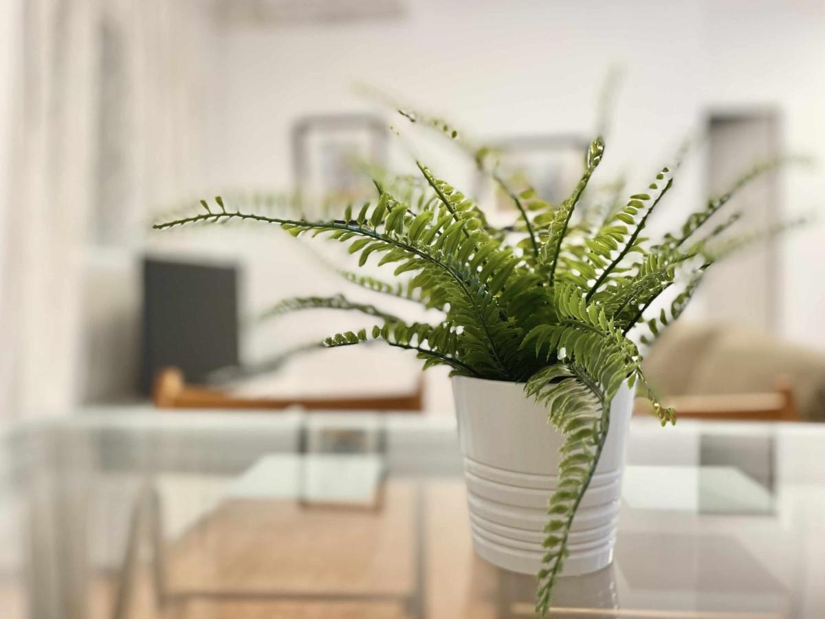 Apartamento En El Centro De Malaga En El Soho Zewnętrze zdjęcie